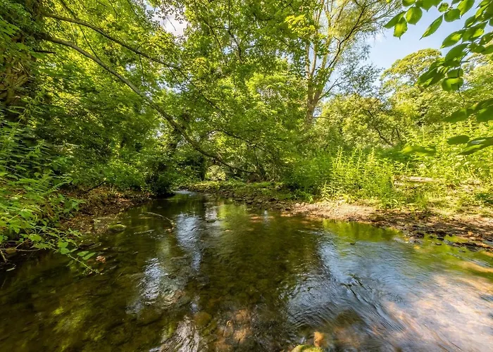 White Rose * Constable Burton